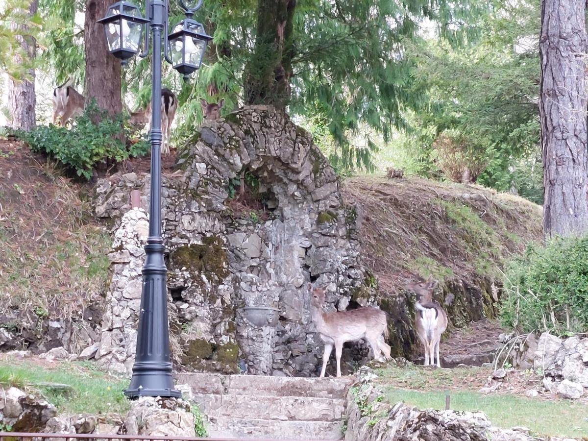 Villa Ghiron Torriglia Exteriér fotografie
