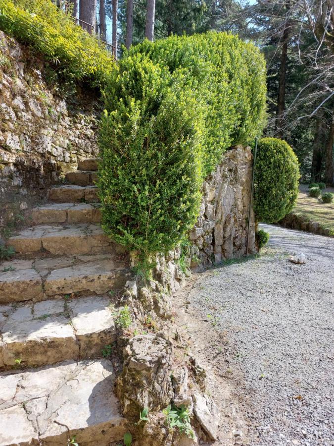 Villa Ghiron Torriglia Exteriér fotografie
